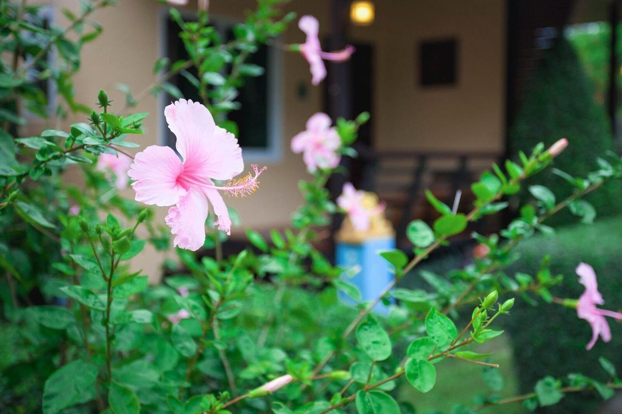 Siray Green Resort Phuket Eksteriør billede